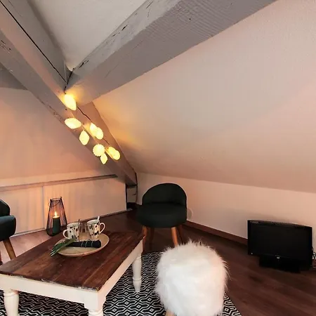 Apartment Grenier Du 100 M Du *